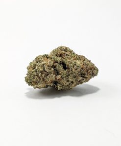 Frosted Donut (AAA+)